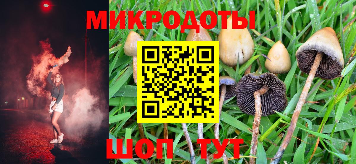 Галлюциногенные грибы Magic Shrooms  Галлюциногенные грибы Magic Shrooms  Вход с VPN  Димитровград 