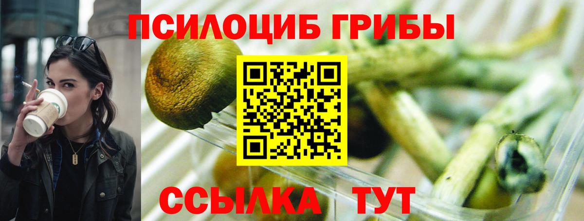 Галлюциногенные грибы прущие грибы Димитровград
